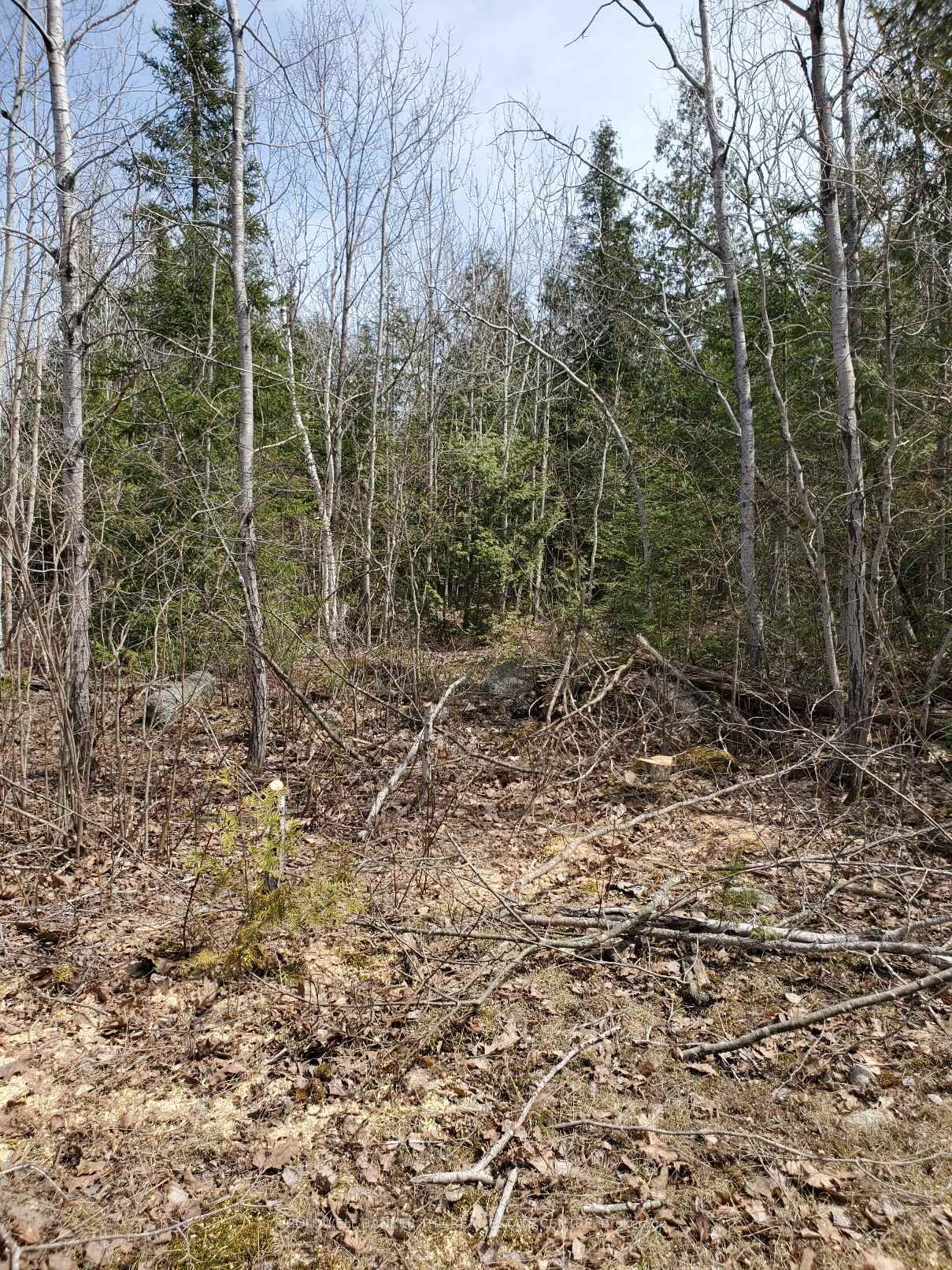 Property Photo:  13476 Hwy. 542 Highway  ON P0P 1H0 