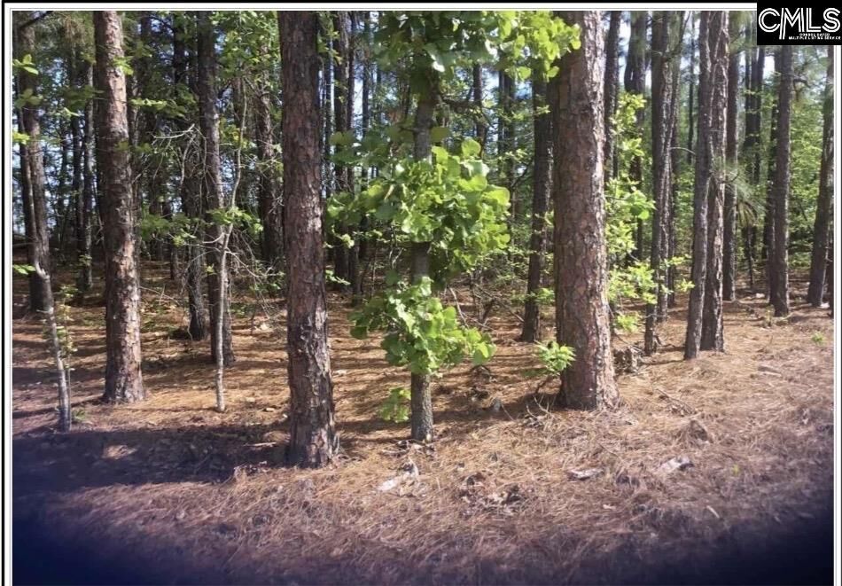 Property Photo:  N/S Percival  SC 29229 