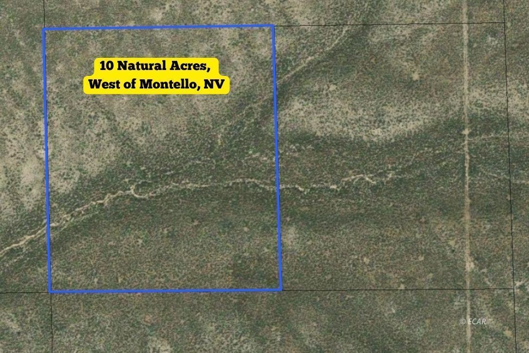 Property Photo:  01014D018 Sw4se4ne4 Sec 19 Twn 39N Rng 67E Mdb&M  NV 89830 