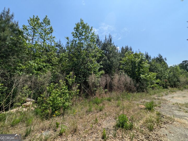 Property Photo:  0 Dorton Creek Road  GA 31816 