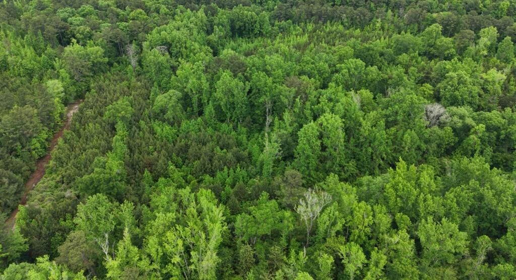 Property Photo:  0 Dorton Creek Drive  GA 31816 