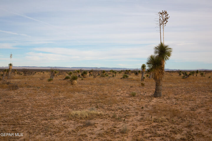 Property Photo: Pn 76132 Tbd 37 Sec 1 Psl Sunset Ran TX 79851