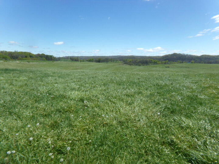 Property Photo:  Friars Hill Rd  WV 24991 