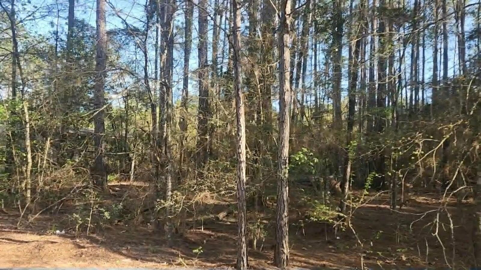 Property Photo: Lot 5 Walnut Tree Lane TX 77363