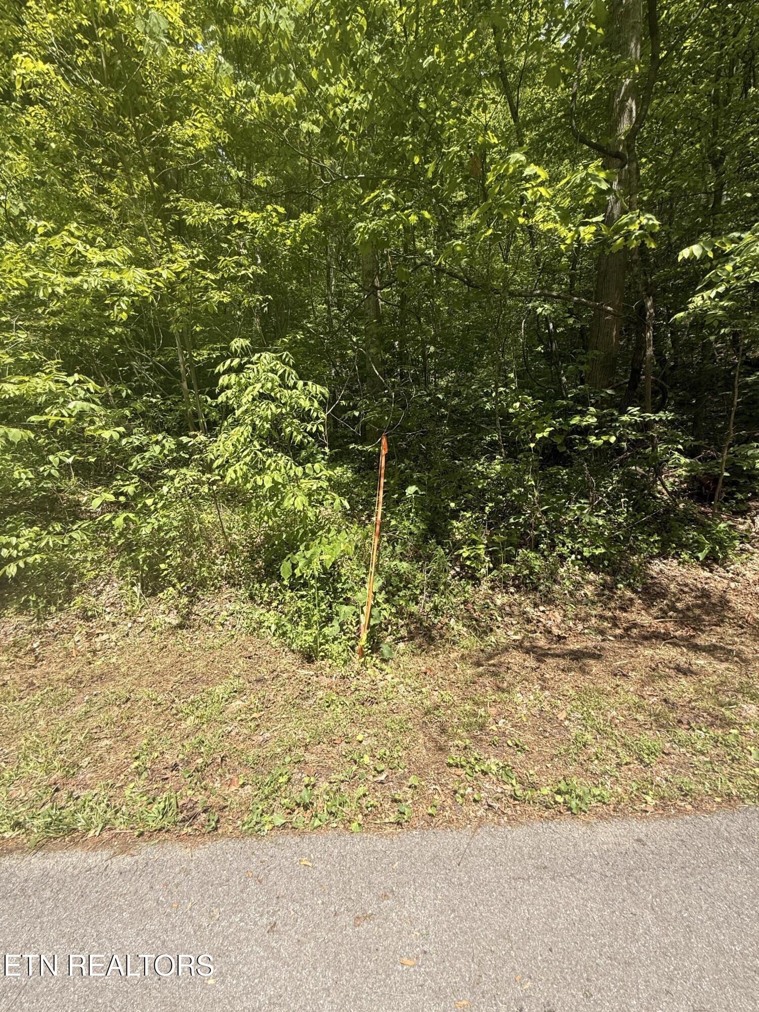 Property Photo:  4045 Suttons Rd  TN 37876 