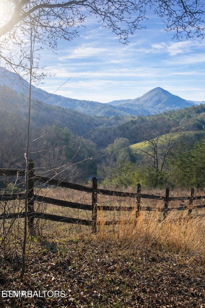 Property Photo:  1440 Goose Gap Rd  TN 37876 