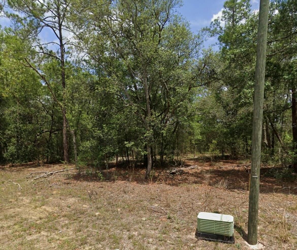 Property Photo:  11304 N Fuego Drive  FL 34434 