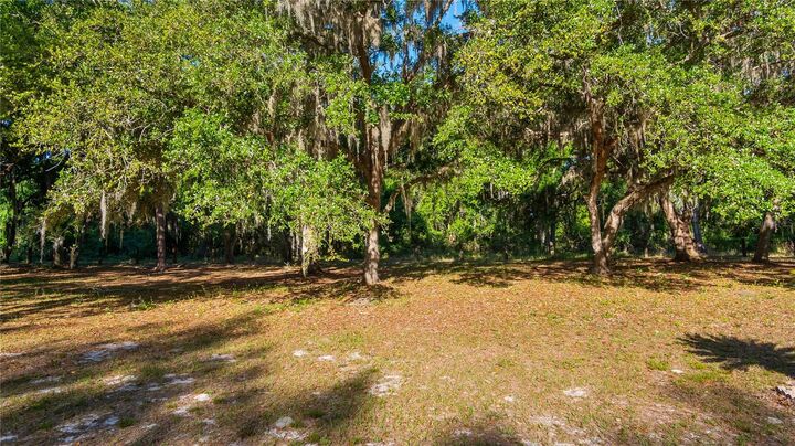 Property Photo:  Legacy Woods  FL 34736 