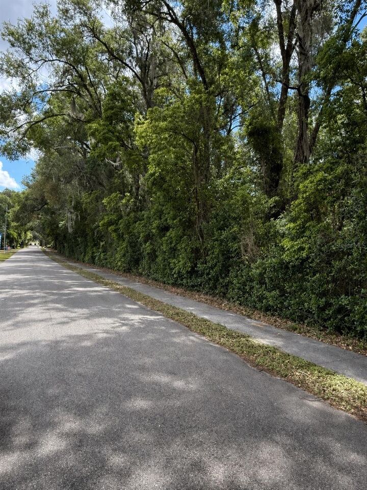 Property Photo:  Tbd King Avenue  FL 32798 