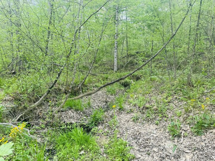 Property Photo:  Lot 3 - Eagle View Mt Healthy Road  IN 47201 