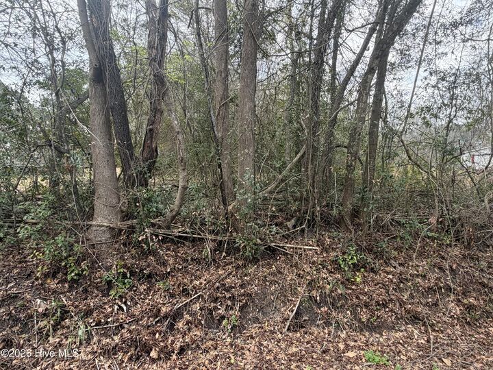 Property Photo:  0000 Green Loop Road NE  NC 28451 