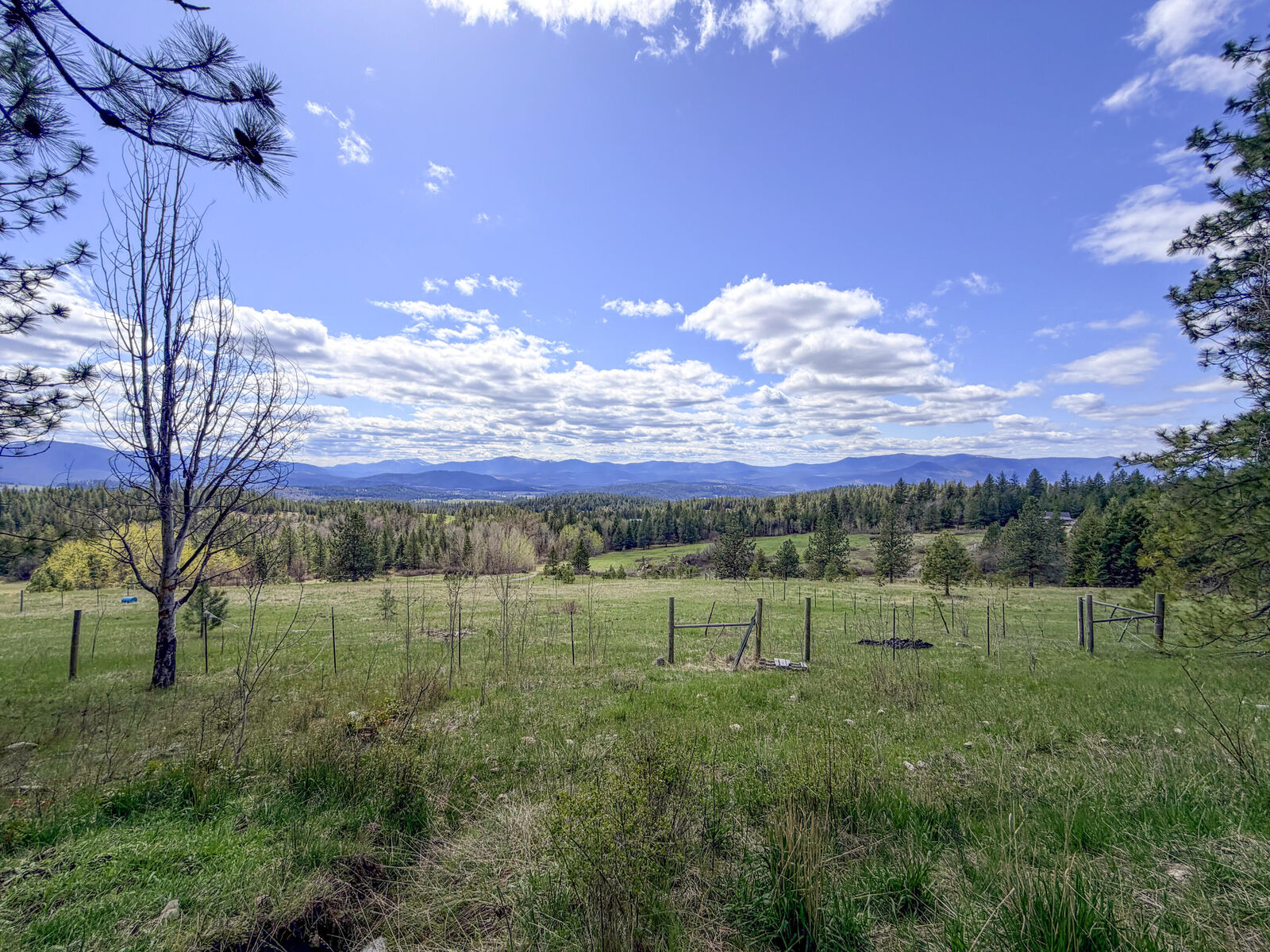 Property Photo:  829 Dominion Springs Way  WA 99114 