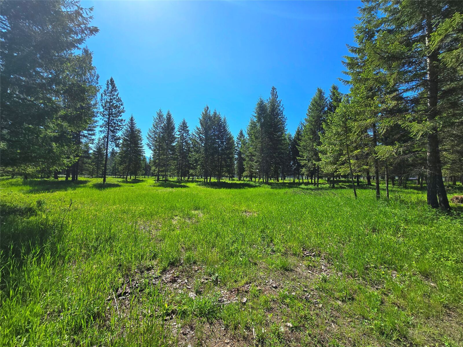 Property Photo:  19 Faro Lane  MT 59874 