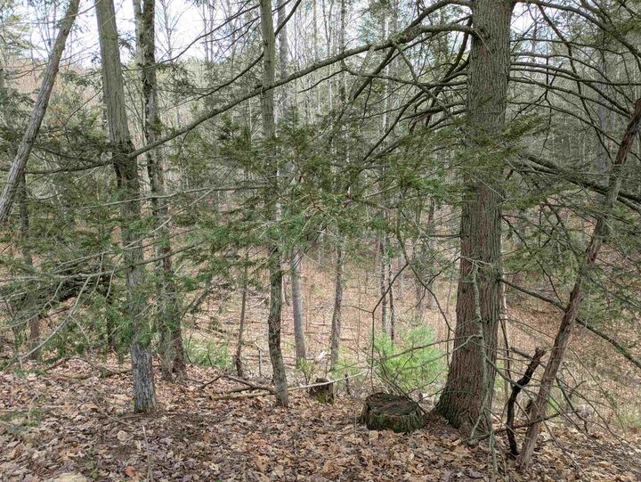 Property Photo:  South Scofield Mountain Road  NH 03470 