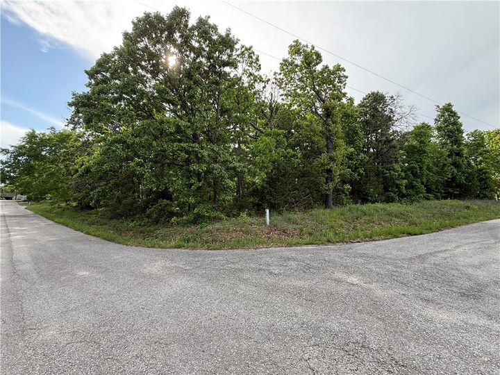Property Photo:  8 Soth Hills Loop  AR 72631 