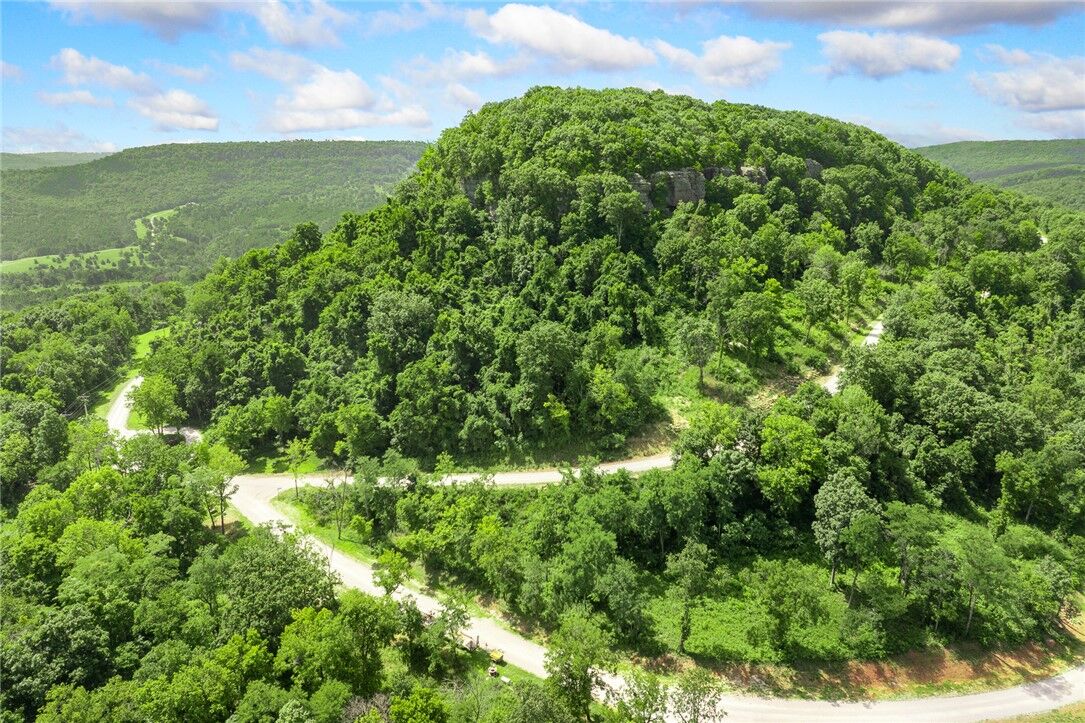Property Photo:  Lot 14 Peaceful Place  AR 72601 