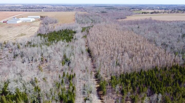 Property Photo:  Settlement Road  PE C0A 1A0 