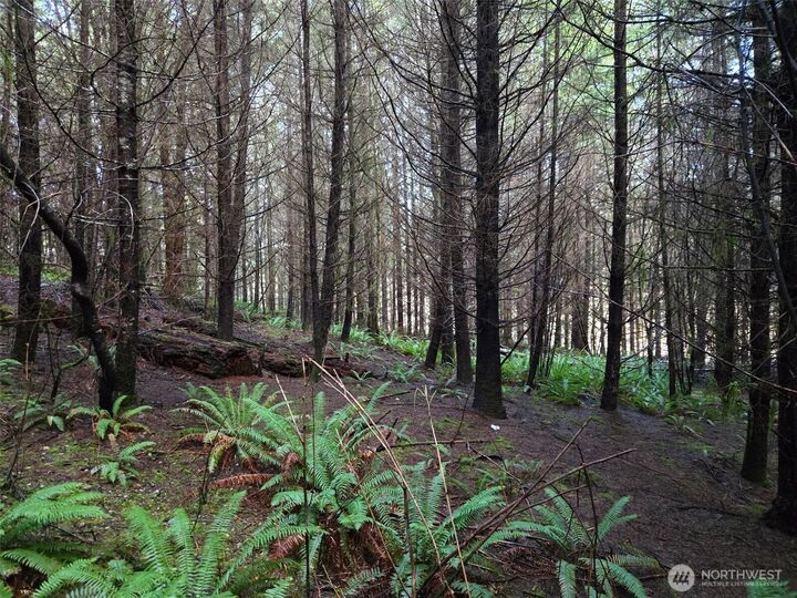 Property Photo:  0 End Of  Workman Creek Road  WA 98541 