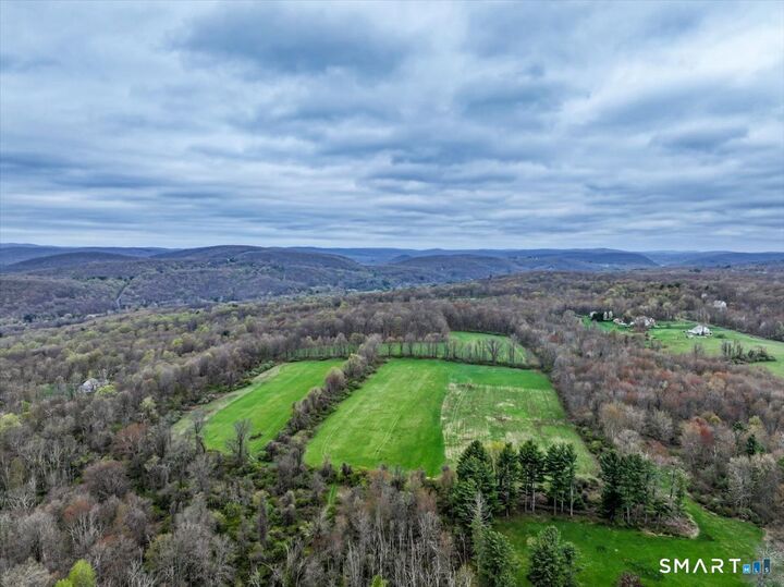 Property Photo:  Chestnut Land Road  CT 06776 