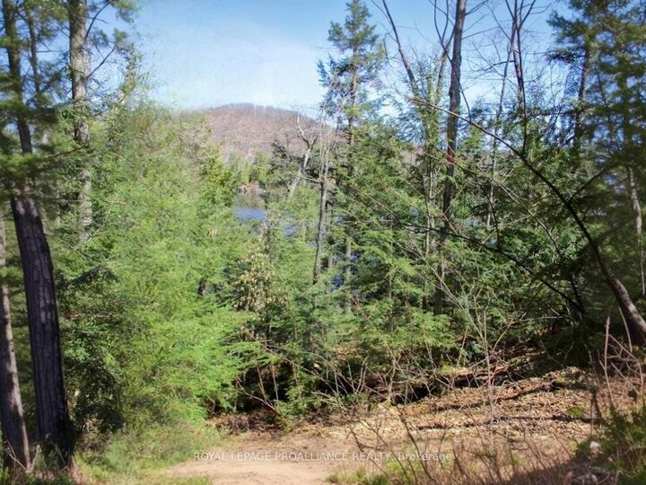 Property Photo:  0 Granite Terrace Lane  ON K0K 2J0 