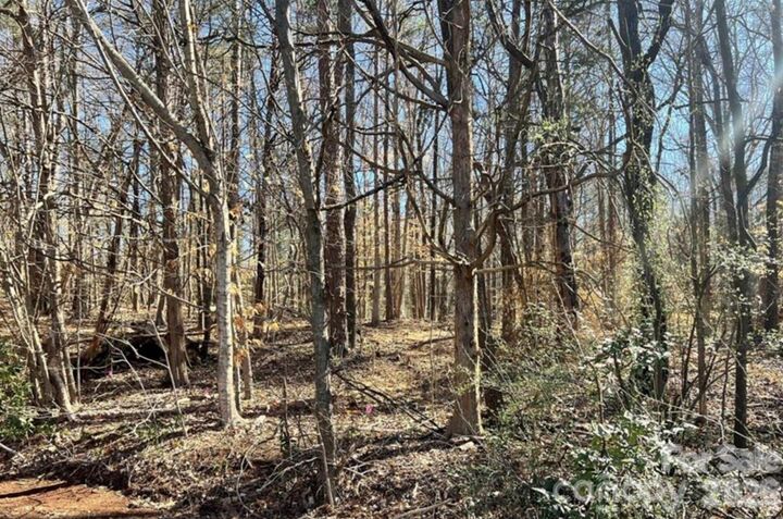 Property Photo:  02 Lurecliff Place  SC 29708 