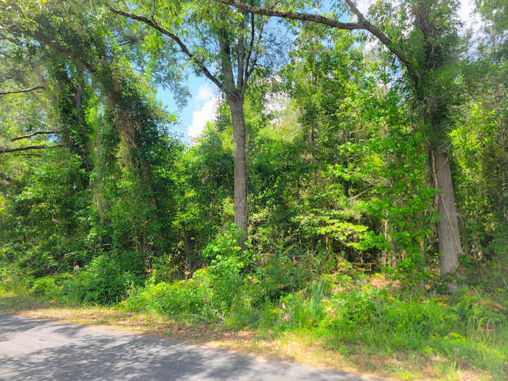 Property Photo:  0000 Murraysville Road  SC 29461 