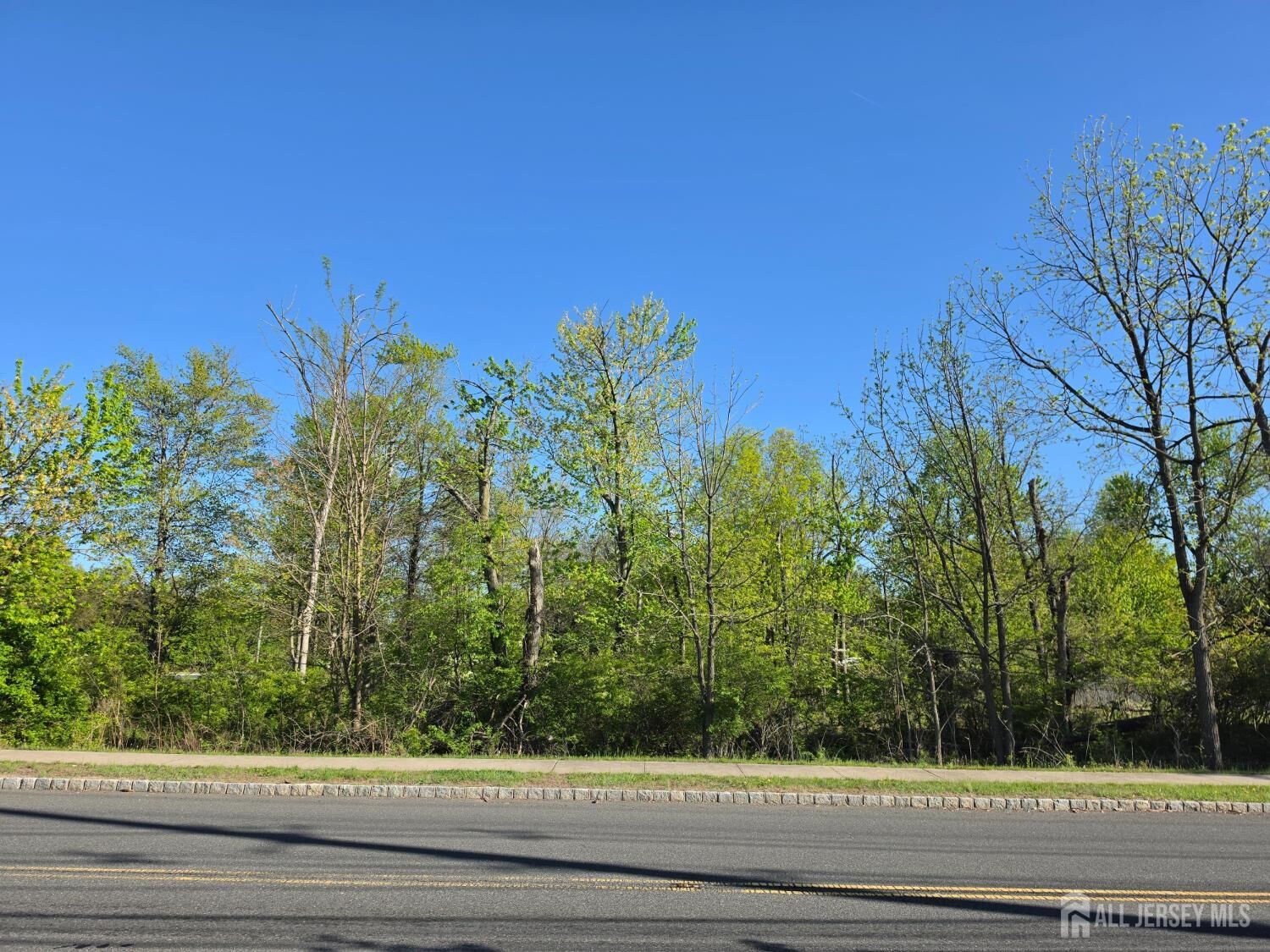 Property Photo:  631 Park Avenue  NJ 08854 