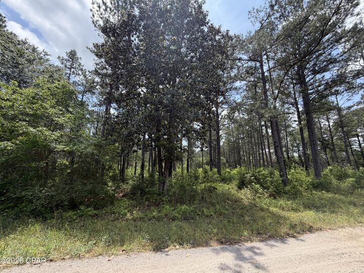 Property Photo:  000 Parrish Still Road  FL 32462 