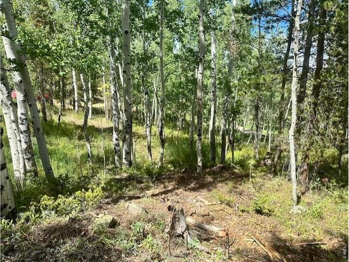 Property Photo:  293 Aspen Cir  CO 80422 