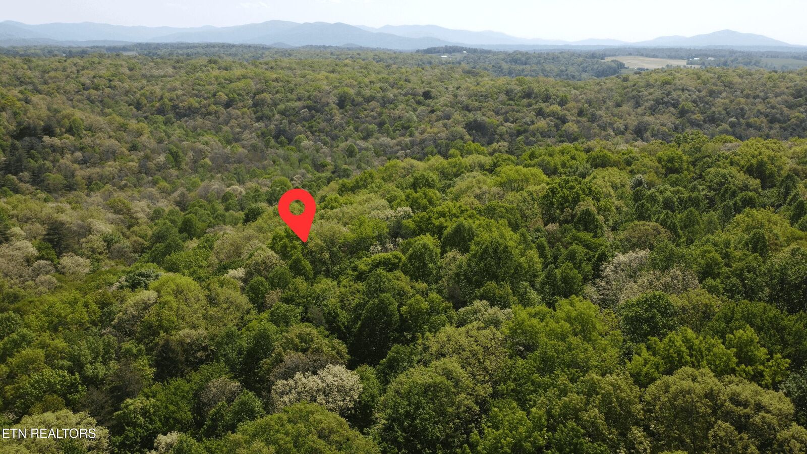 Property Photo:  391 Ridge Rd  TN 37770 