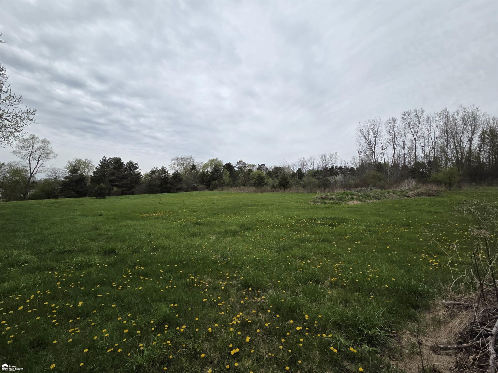 Property Photo:  11144 N Lewis Road  MI 48420 