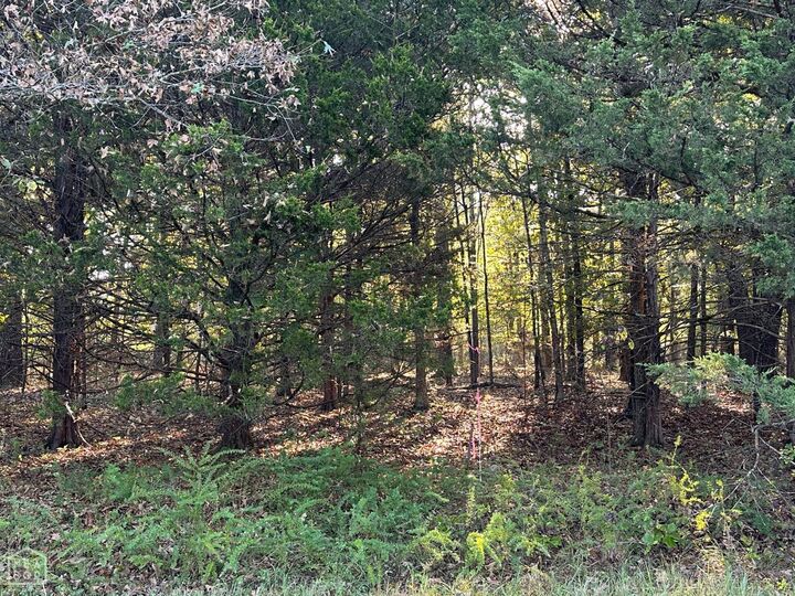 Property Photo:  1 Hand Cove Road  AR 72531 