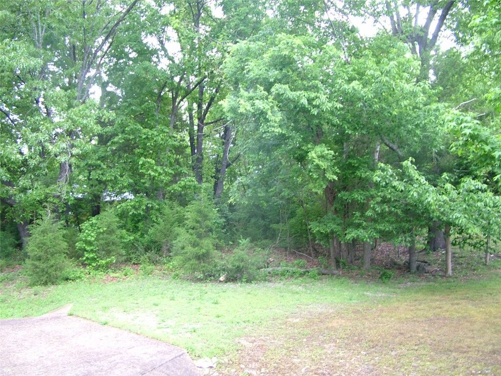 Property Photo:  Lot 8 Franklin Avenue  AR 72653 