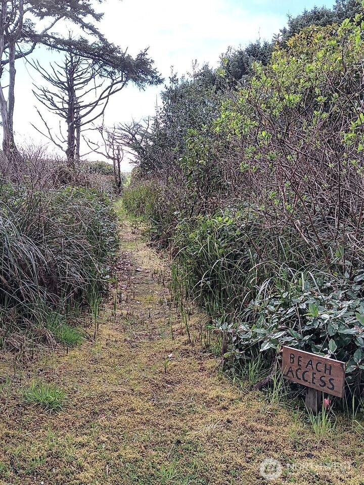 Property Photo:  4726  Beach Lane  WA 98562 