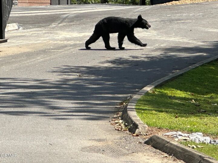 Property Photo:  1824 Pinestand Ridge Way  TN 37862 