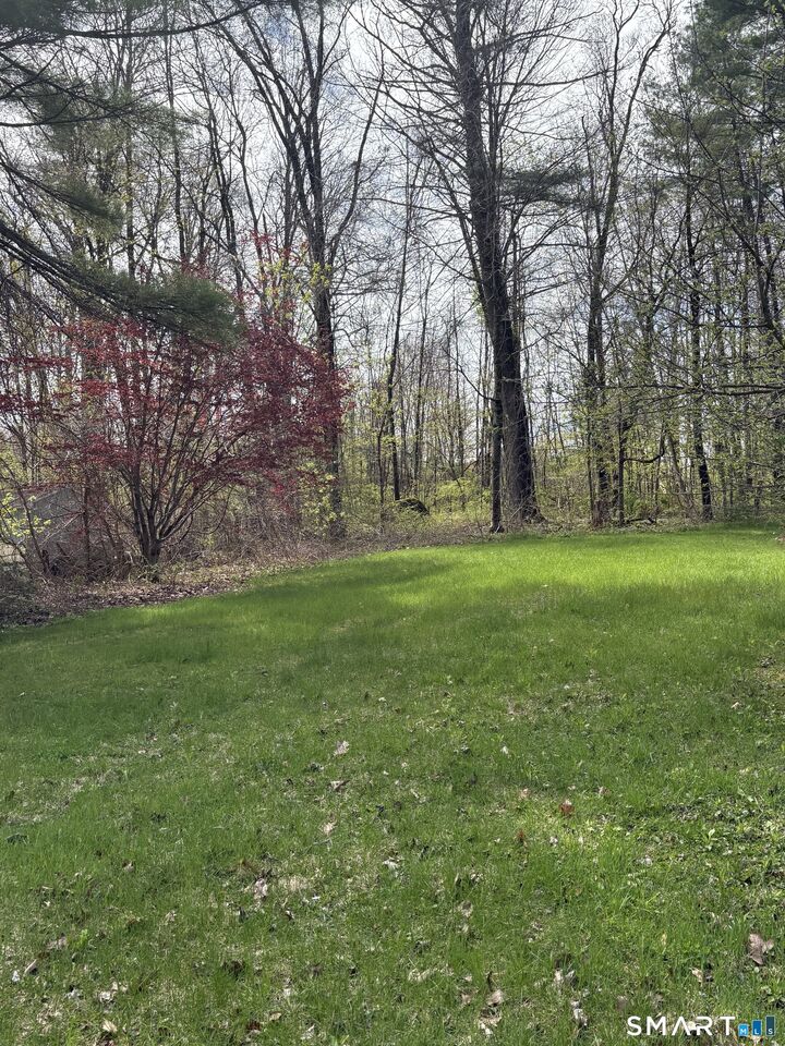 Property Photo:  315 Salisbury Road  CT 06018 