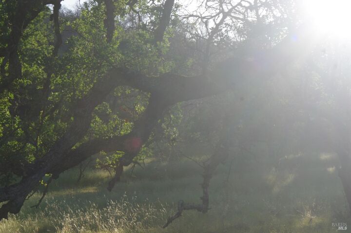 Property Photo:  0 Knoxville Road  CA 94558 