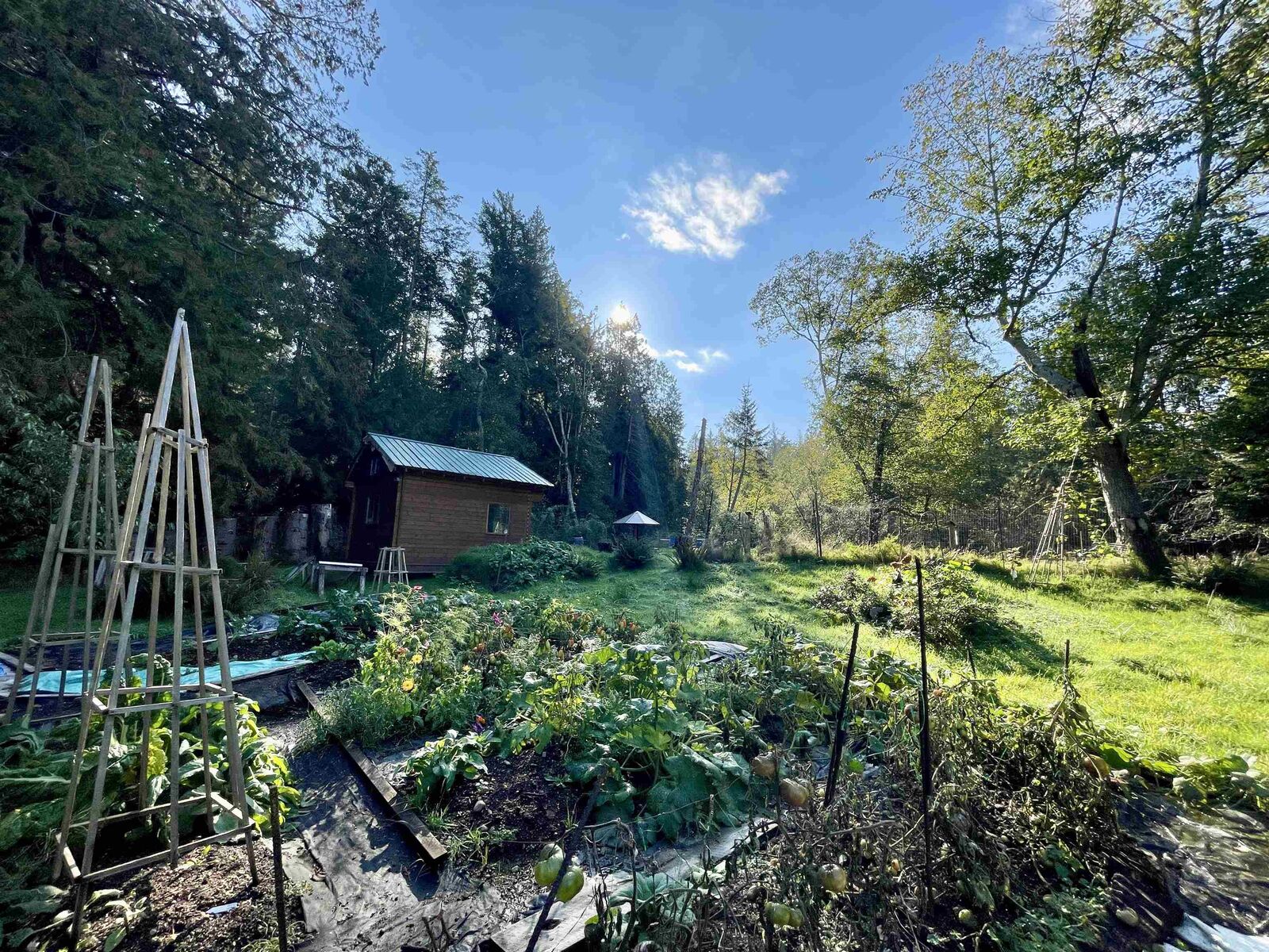 Property Photo: 650 Tumbo Channel Road BC V0N 2Y0