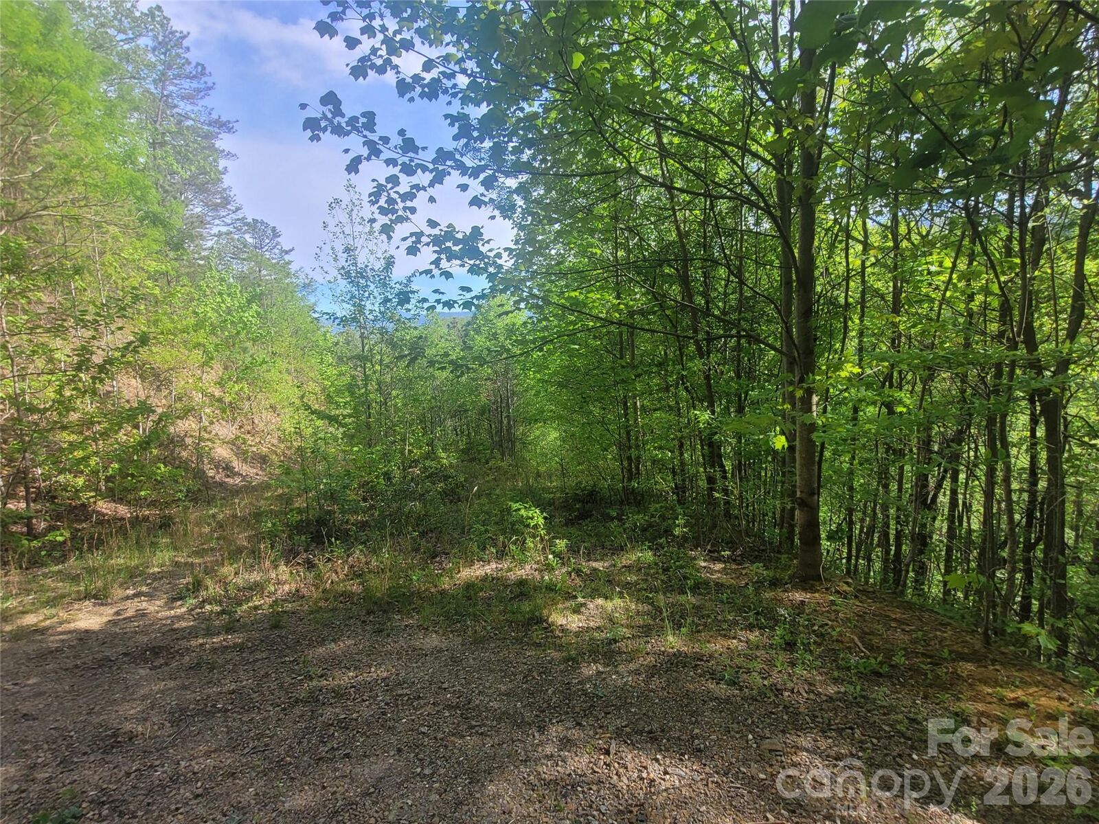 Property Photo:  99999 Wolverine Court 53  NC 28785 