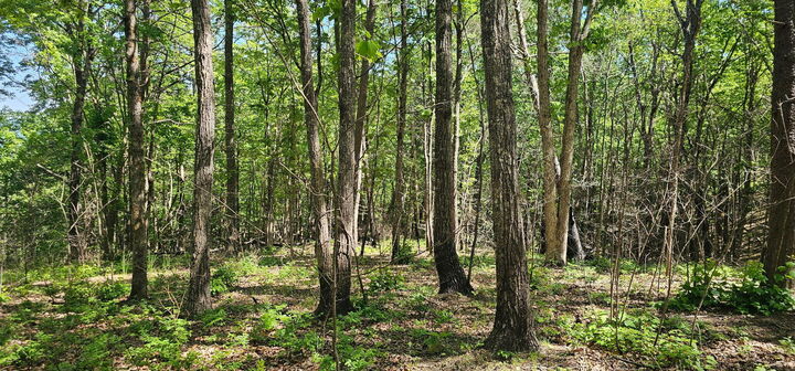 Property Photo: 0 Bluffview Dr TN 37327