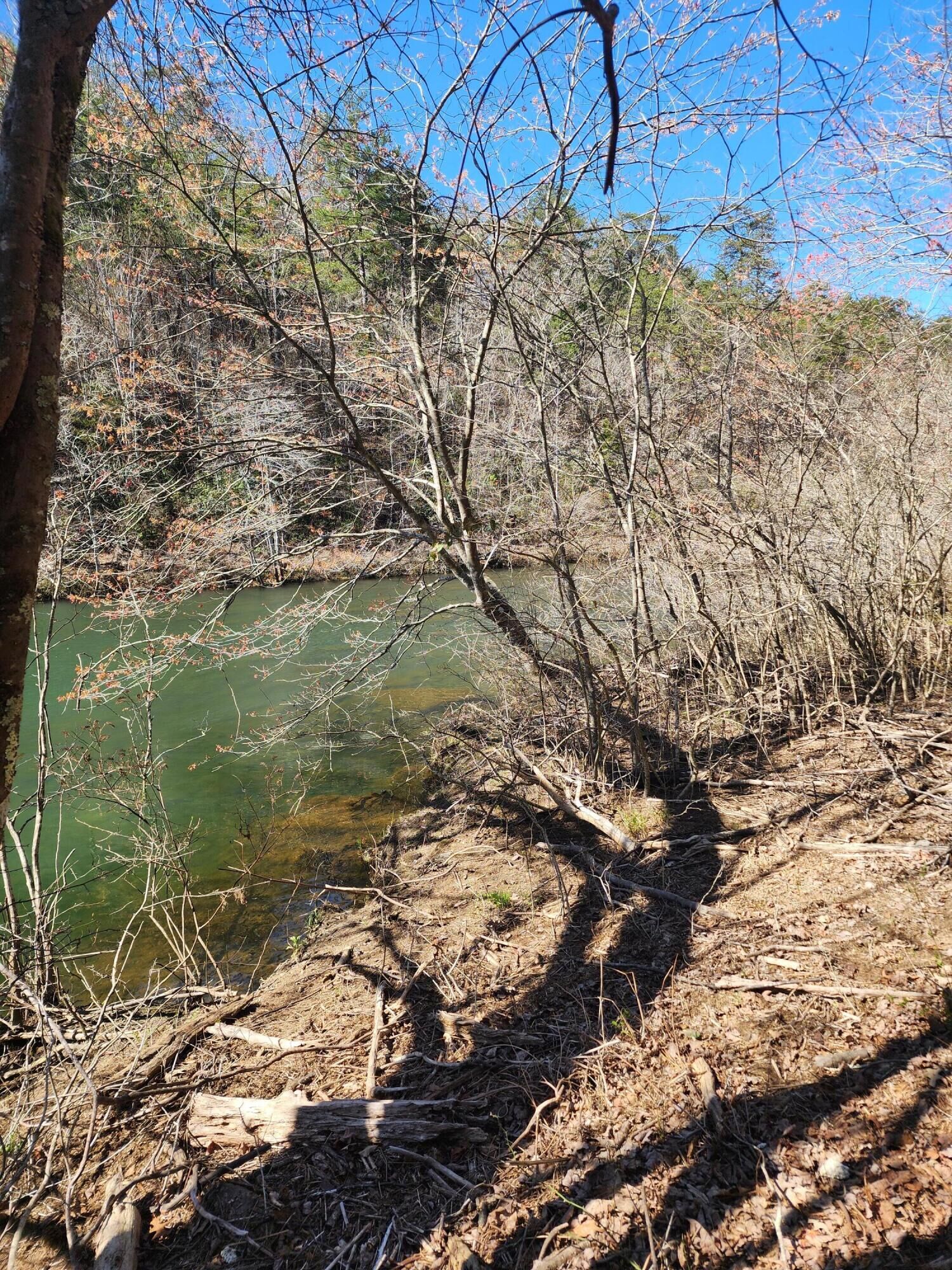 Property Photo: 00 Cherokee County 623 AL 35984