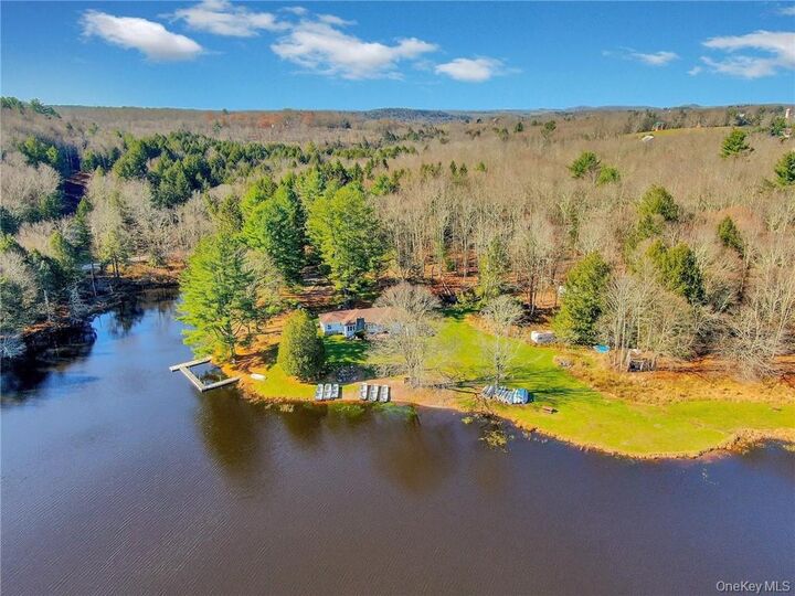 Property Photo:  122 Jaketown Road  NY 12783 