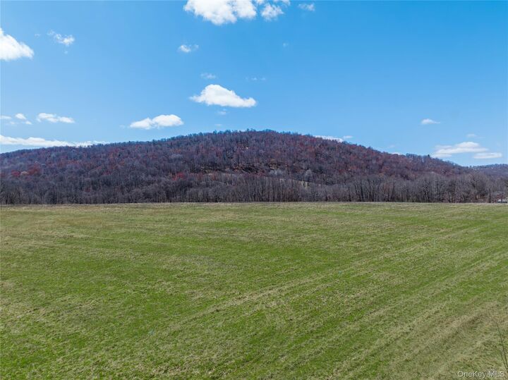 Property Photo:  McGhee Hill Rd. McGhee Hill Road  NY 12546 