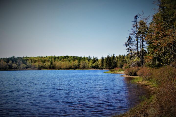 2 Laconia Road — photo 1