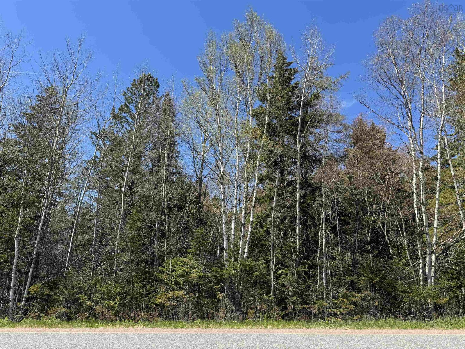 Property Photo:  Lot 4 Highway 509  NS B0L 1B0 