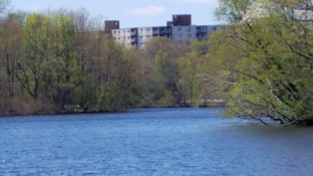 Property Photo:  151 Coolidge Ave 105  MA 02472 