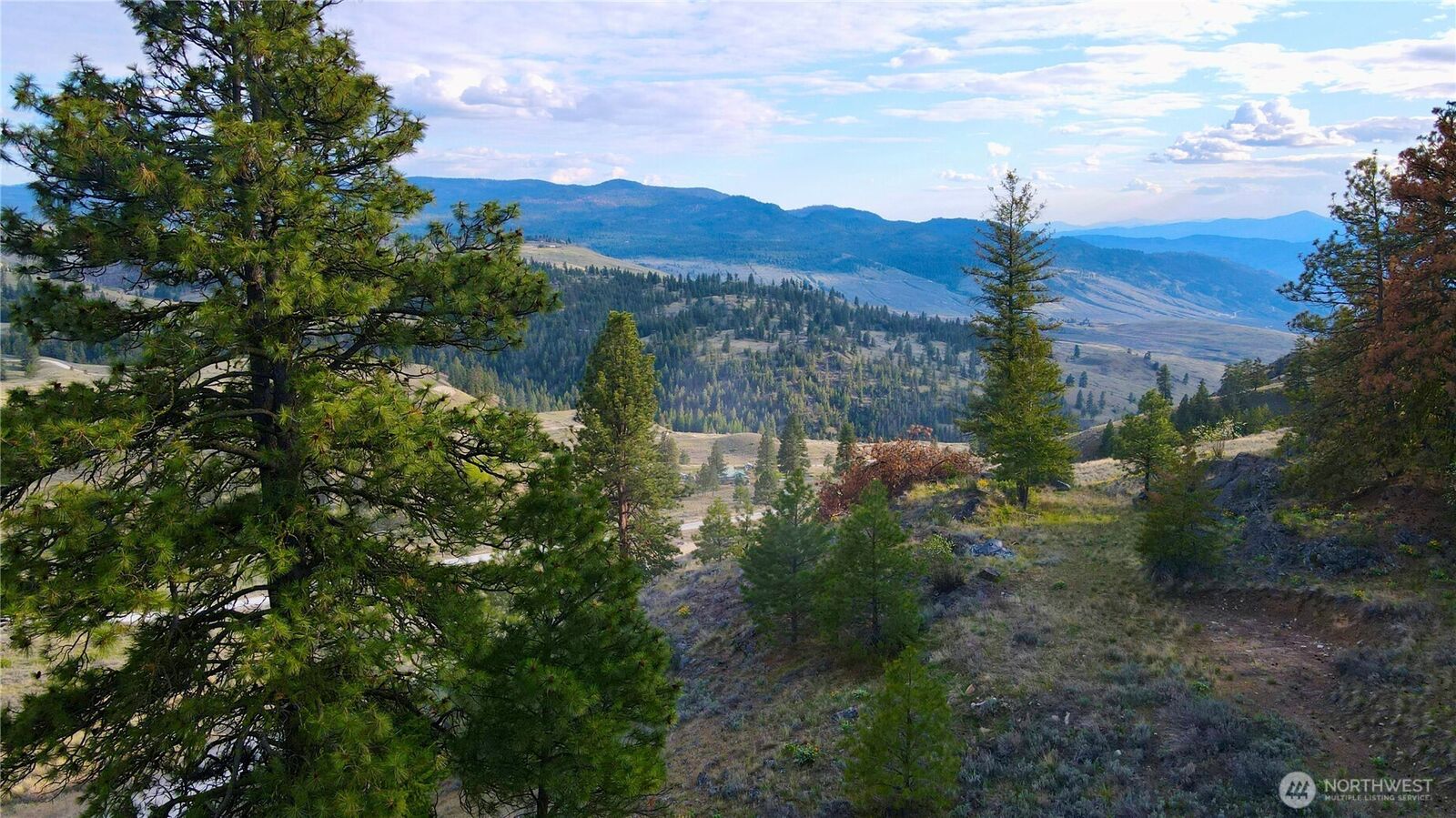 Property Photo:  0 Tbd  Blue Grouse Road  WA 98844 
