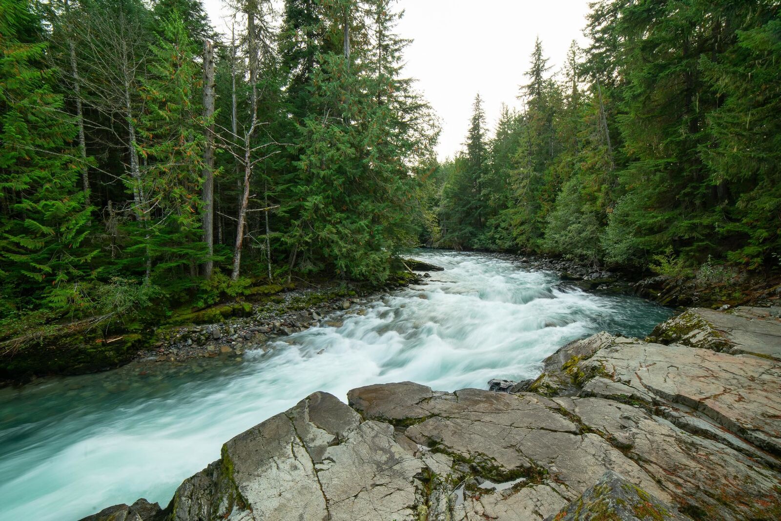 Property Photo: 1726 River Run Place Lot 10 BC V8E 1P4