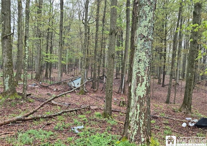 Property Photo:  2552 Thornton Road  NY 14782 