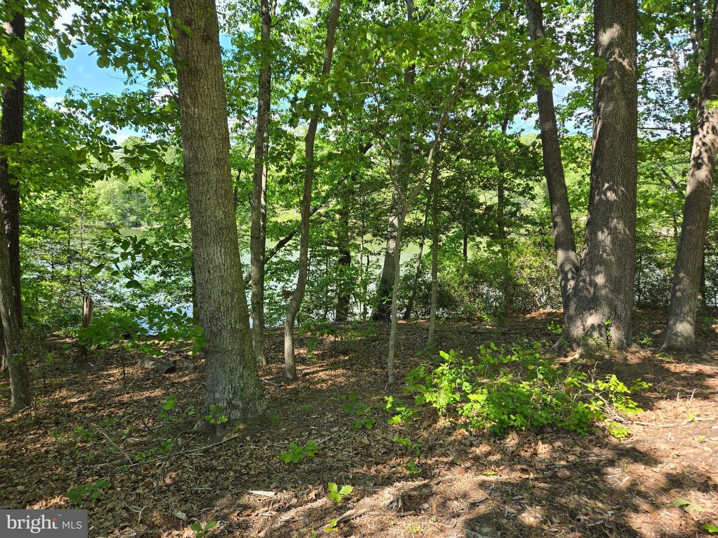 Property Photo:  Lot 3 Seaside Lane  MD 20680 